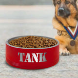 Personalized Dog Bowl, Insulated, Rubber Grip Feet, Engraved Cat Dish